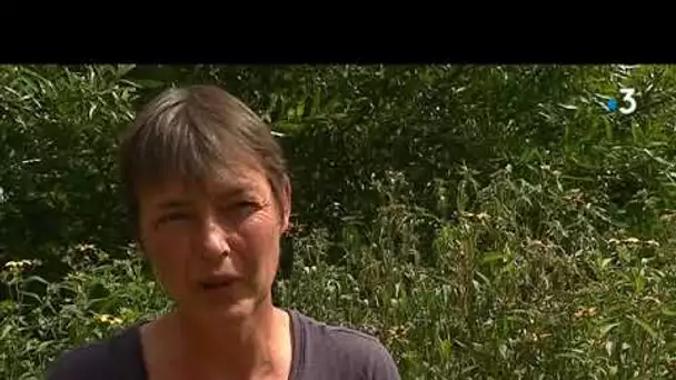 Sécheresse dans la Creuse : jardiner avec moins d’eau, c’est possible