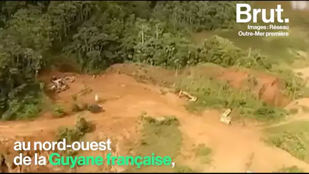 Guyane : l&#039;énorme projet de mine 'Montagne d&#039;or' inquiète