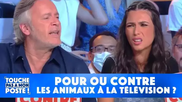 Pour ou contre les animaux à la télévision ?