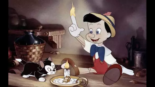 Les 25 meilleurs films d’animation de Disney à voir selon les avis des fans.(fait antoine)
