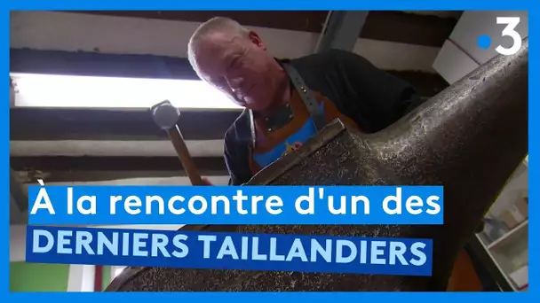 Sarthe : Pascal Turpin, un des derniers taillandiers d'Europe