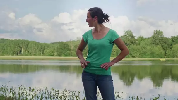 Ces agriculteurs ont tout perdu à cause des inondations