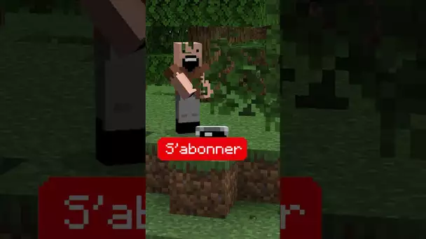 La recette la plus rare de Minecraft ?