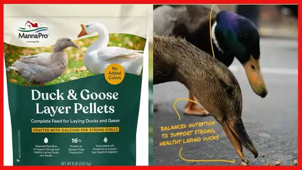Manna Pro Duck Layer Pellet | High Protein for Increased Egg Production | Formulated with Probiotics