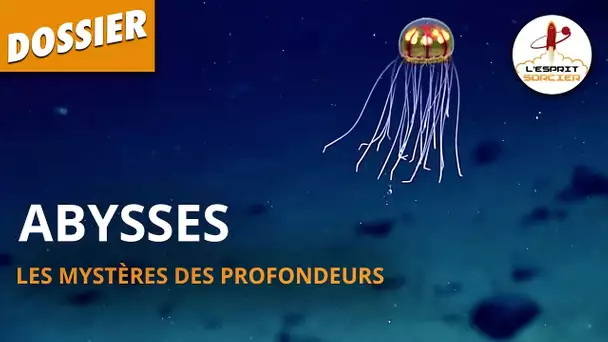 ABYSSES : LES MYSTÈRES DES PROFONDEURS - Dossier #17 - L'Esprit Sorcier