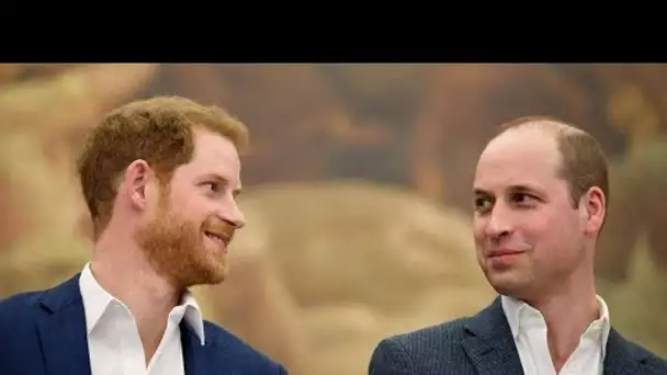 Prince William perplexe pour le prince Harry, trouble sur sa filiation, la photo qui stoppe les dé