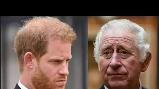 Le prince Harry n'a eu « aucun contact » avec la famille royale avant l'anniversaire du roi Charles