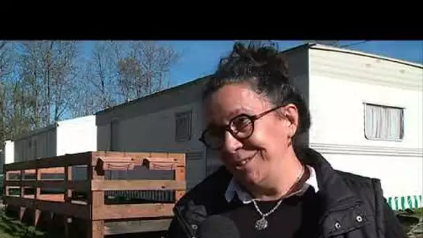 Emploi d&#039;insertion locale