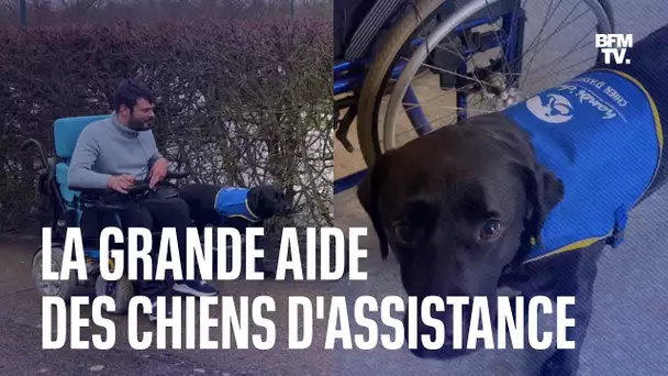 Voici comment les chiens d’assistance viennent en aide aux personnes en situation de handicap