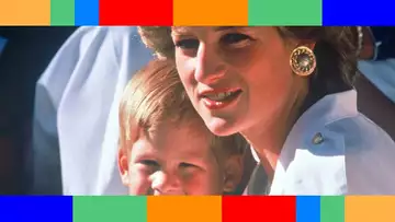 Mémoires du prince Harry : cette enquête sur le décès de sa mère qu'il aurait commandée