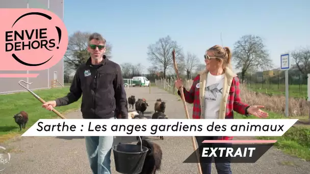 Envie dehors! Sarthe : Les anges gardiens des animaux [EXTRAIT]