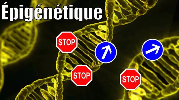 Il n'y a pas que les gènes dans la vie ! L'épigénétique, avec P'tite Jane — Science étonnante #54