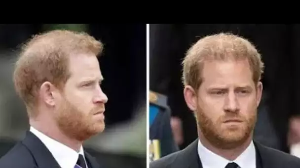 Le prince Harry est parti «dévasté» par des rebuffades perçues après son retour au Royaume-Uni