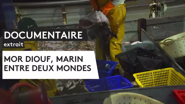 DOCUMENTAIRE. Mor Diouf, marin entre deux mondes [Extrait]