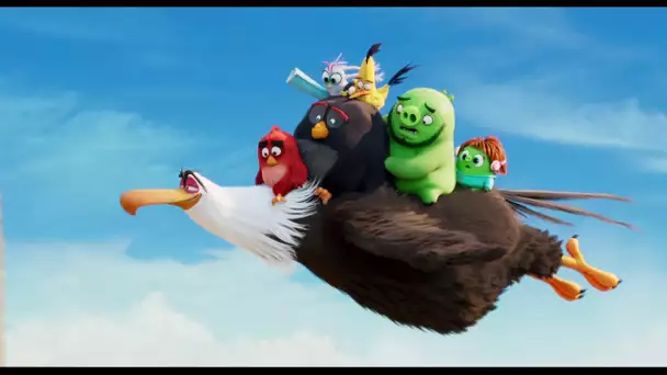 Angry Birds : Copains comme Cochons - TV Spot 'Team Parents' - VF