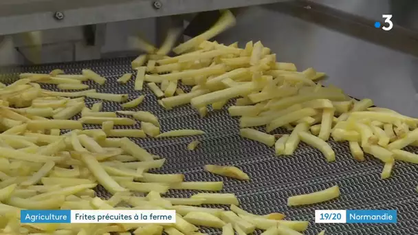 Un agriculteur normand se lance dans la production de frites