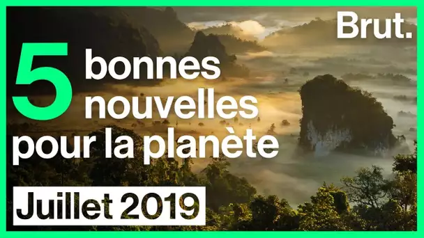 5 bonnes nouvelles pour la planète