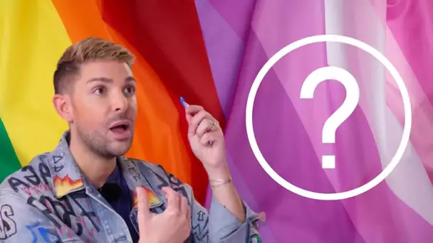 "GAY" : Pourquoi les blogueurs de télé-réalité sont gay* !