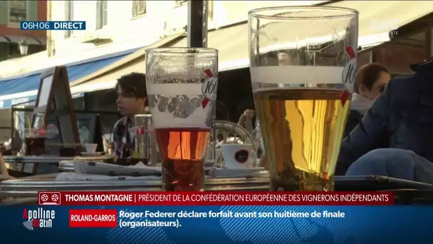 En France, l'Inserm veut taxer l'alcool pour réduire sa consommation