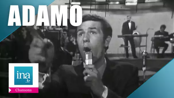 Salvatore Adamo "Vous permettez monsieur" | Archive INA