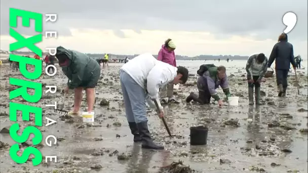 La pêche à pied