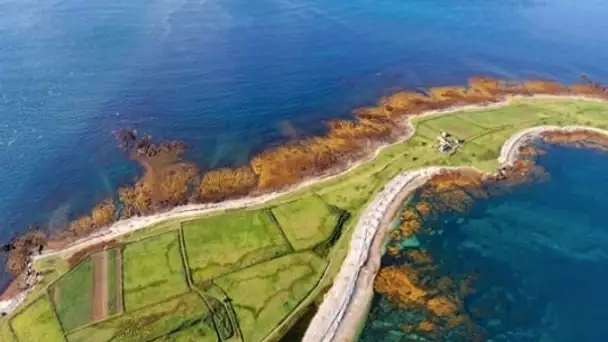 L'île sauvage de Quéménès : à la recherche de ses nouveaux locataires !