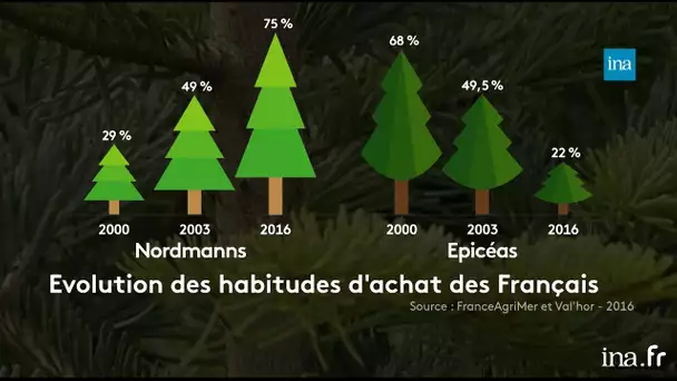 Sapin de Noël : une tradition qui résiste | Franceinfo INA