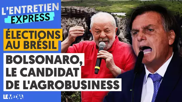 ÉLECTIONS AU BRÉSIL : BOLSONARO, LE CANDIDAT DE L'AGROBUSINESS