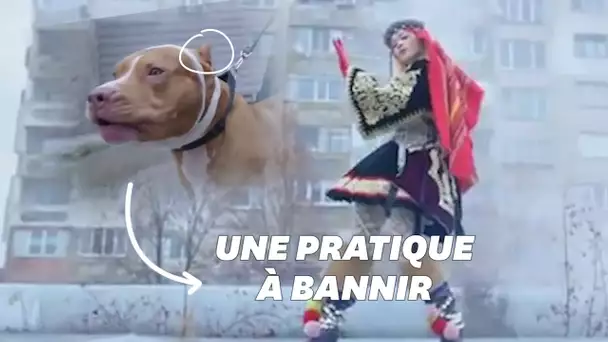 Peta s’insurge après avoir vu le dernier clip de Rita Ora