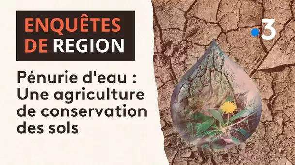 Pénurie d'eau : l'agriculture de conservation des sols