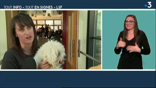 [Tout-Info/Tout en Signes]  février 2020