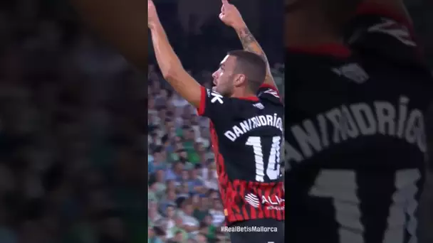 DANI RODRÍGUEZ ⏱️⚡