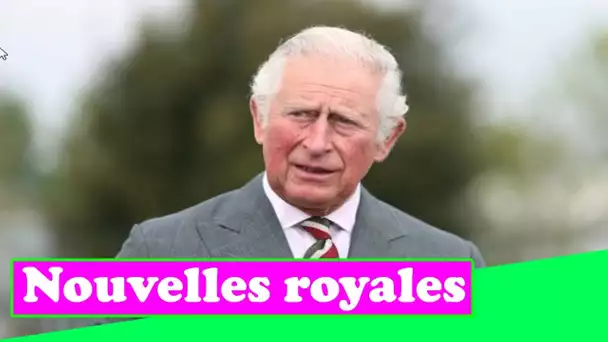 Le prince Charles `` veut que le public ait un meilleur accès aux palais royaux '' quand il est roi