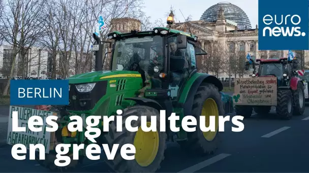 Agriculteurs et écologistes dans la rue à Berlin