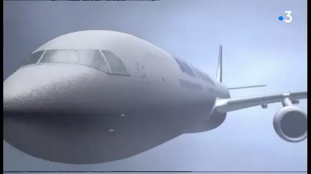 Les circonstances du crash de l'Airbus AF 447 Rio-Paris