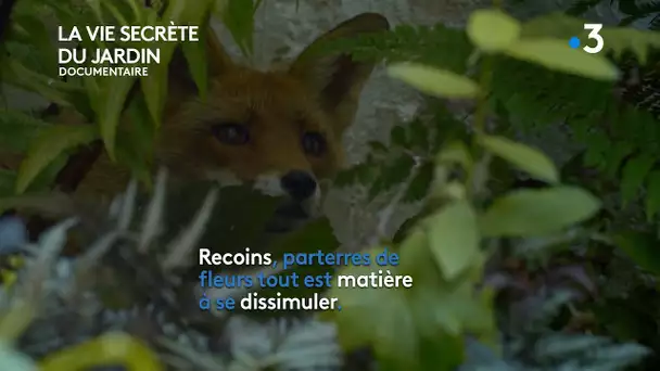 LA VIE SECRETE DU JARDIN. (Documentaire)