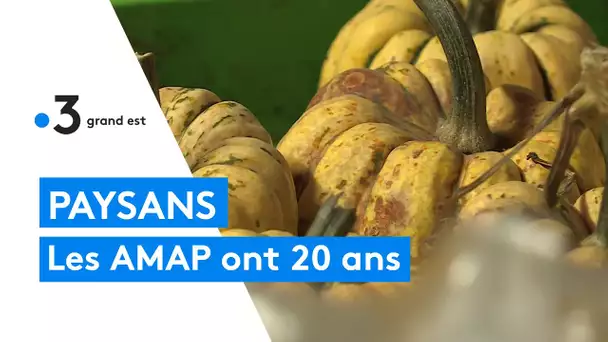 Dossier écolo : les AMAP ont 20 ans