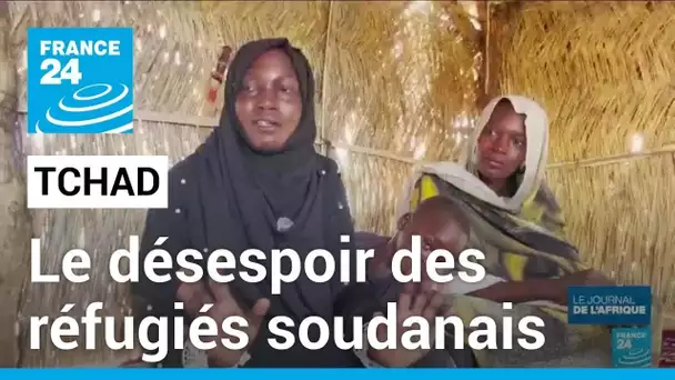 "Je repars de zéro" : le désespoir des réfugiés soudanais au Tchad • FRANCE 24