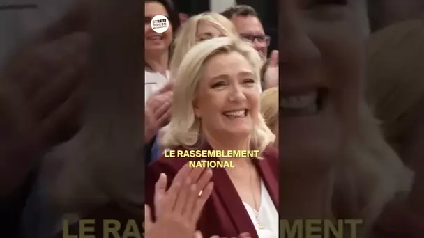 Ces néonazis et identitaires qui travaillent pour le Rassemblement National