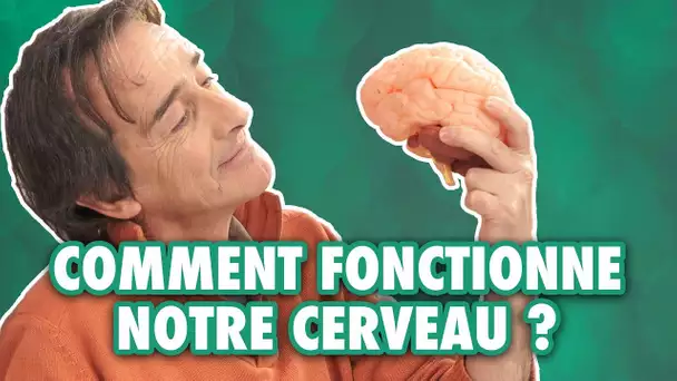 Comment le cerveau apprend-il à lire ? - L'Esprit Sorcier