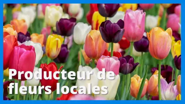 Indre : rencontre avec un producteur de fleurs locales