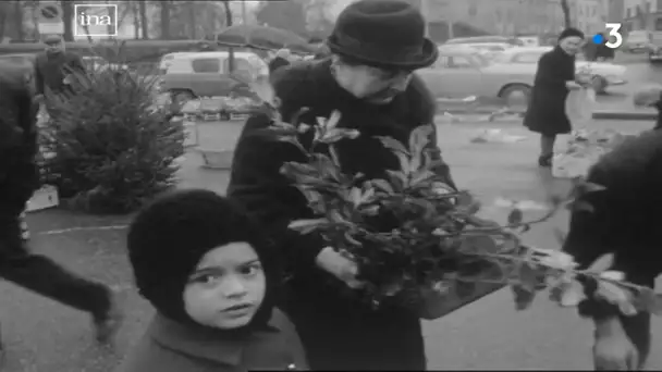 Le marché aux sapins de Noël à Limoges en 1969