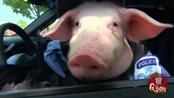 Gag- Policier très cochon