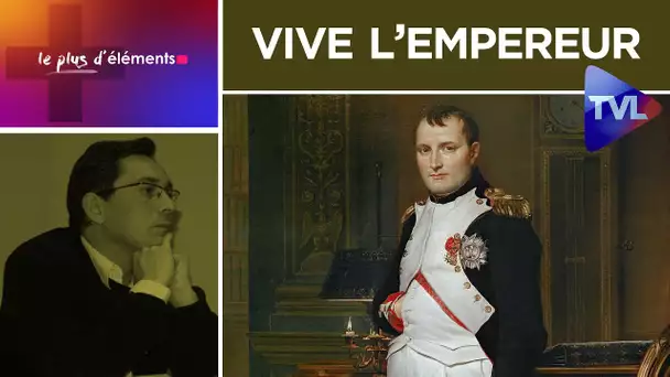 Napoléon est en nous : vive l’empereur et mort aux cons - Le plus d'Eléments - TVL