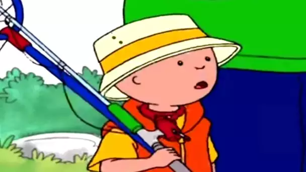 Caillou en Français - Caillou et L&#039;aventure de la Pêche | dessin animé | conte pour enfant