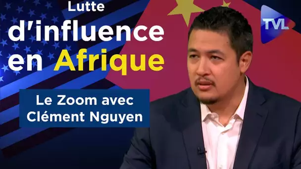Lutte d'influence en Afrique subsaharienne - Le Zoom - Clément Nguyen