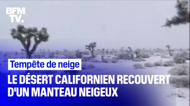 Le désert californien de Joshua Tree recouvert d'un manteau de neige après une tempête