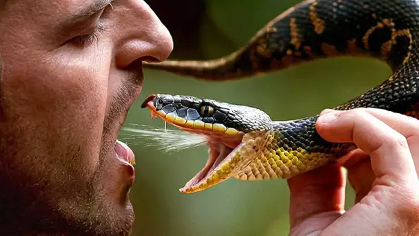 Que se Passerait-il si Vous Buviez du Venin de Serpent ?