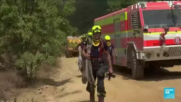 Grèce : onzième jour de lutte contre le "plus grand incendie jamais enregistré dans l'UE"