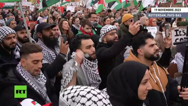 🇳🇱 Pays-bas :  manifestation pro-palestinienne à Rotterdam